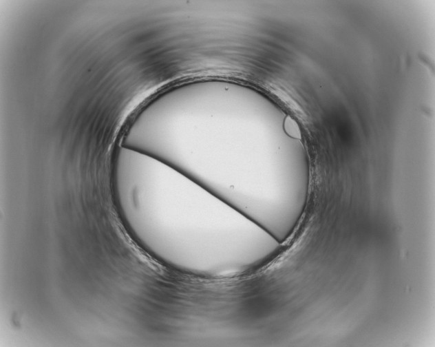 X0000094210933200710260930