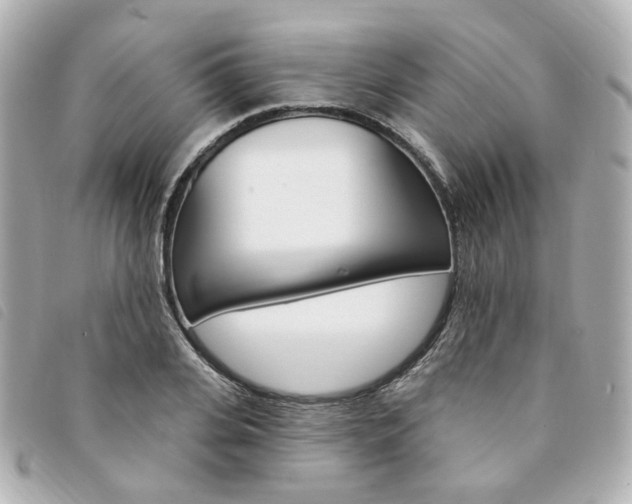 X0000094210935200710260930