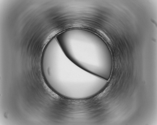 X0000094210938200710260930