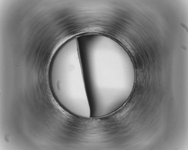 X0000094210939200710260930