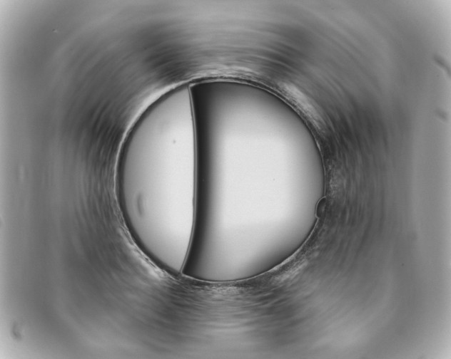 X0000094210940200710260930