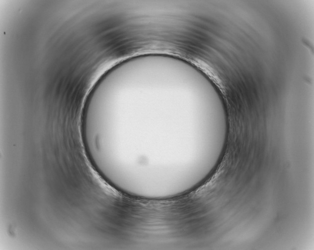 X0000094210942200710260930