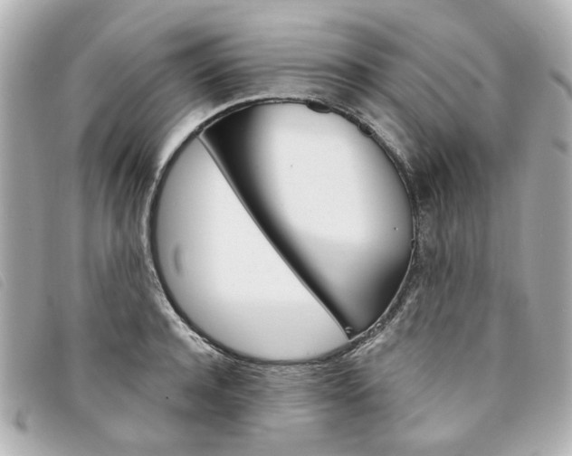 X0000094210944200710260930