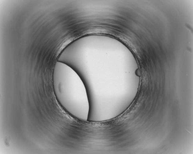 X0000094210945200710260930