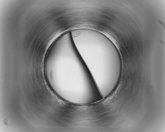 X0000094210949200710260930