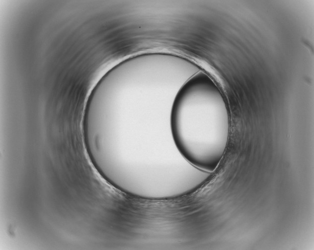 X0000094210951200710260930