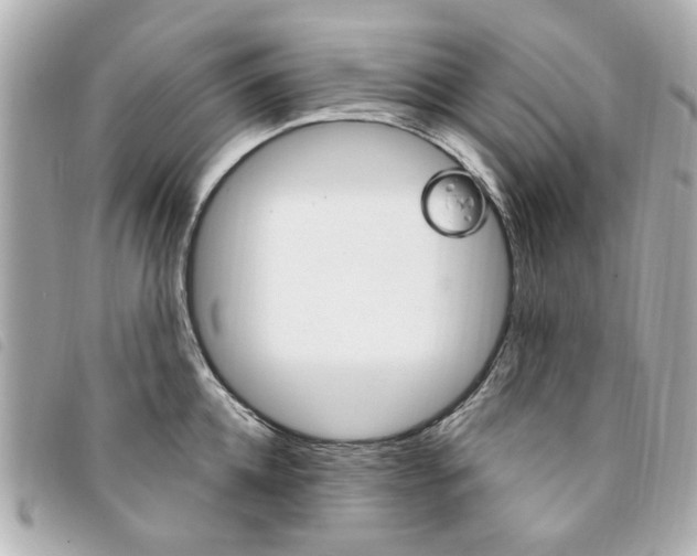 X0000094210952200710260930
