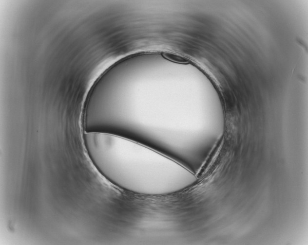 X0000094210959200710260930