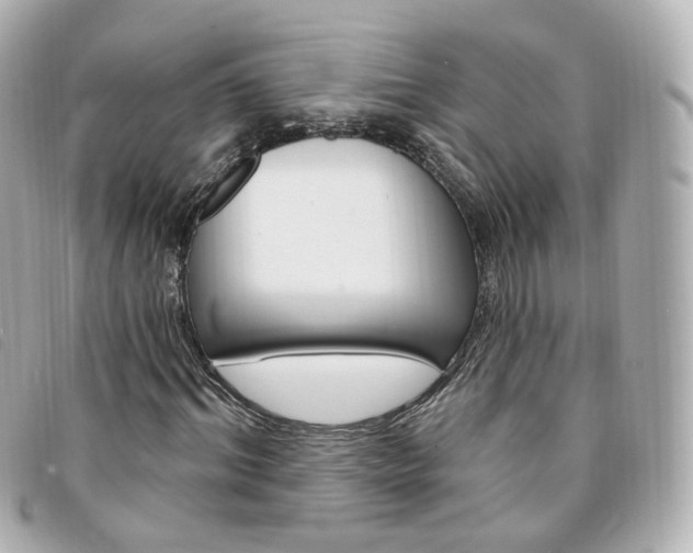 X0000094210964200710260930