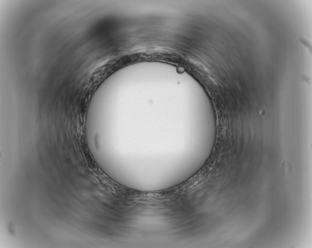 X0000094210966200710260930