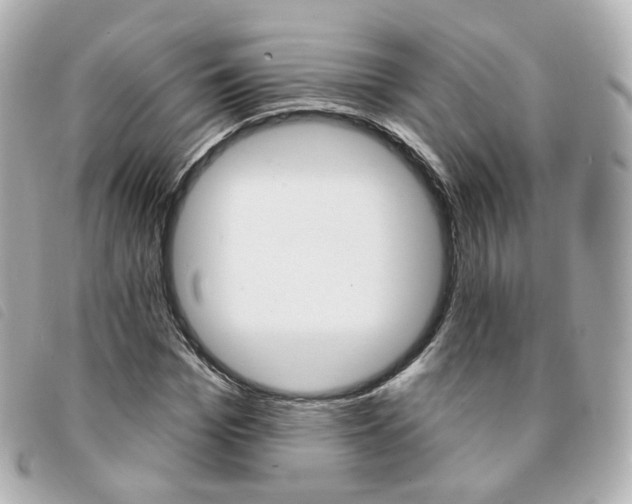 X0000094210969200710260930