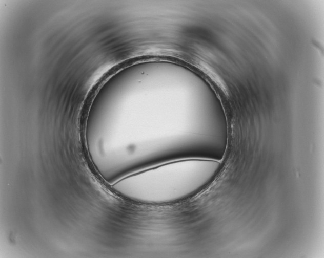 X0000094210972200710260930