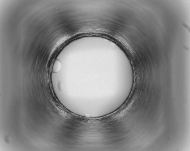 X0000094210974200710260930