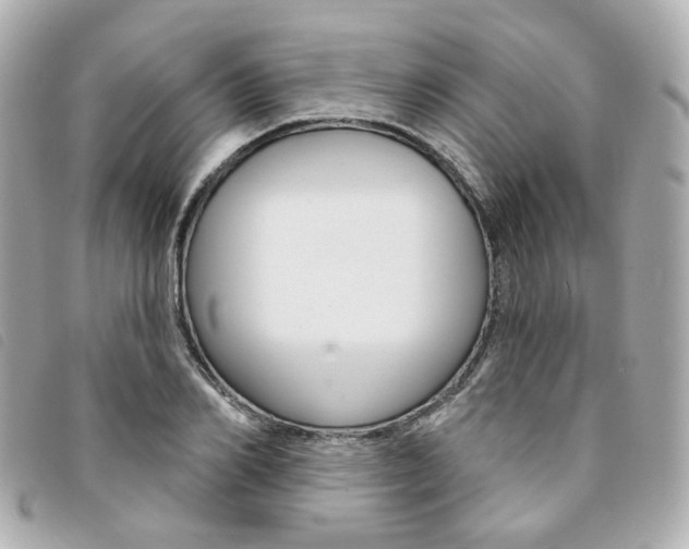 X0000094210982200710260929