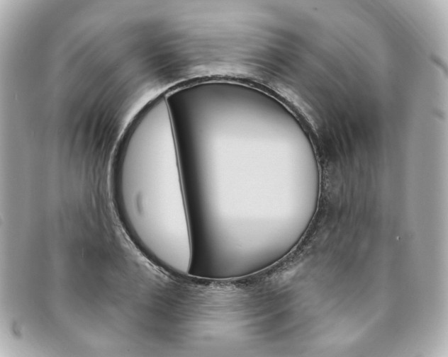 X0000094210983200710260929