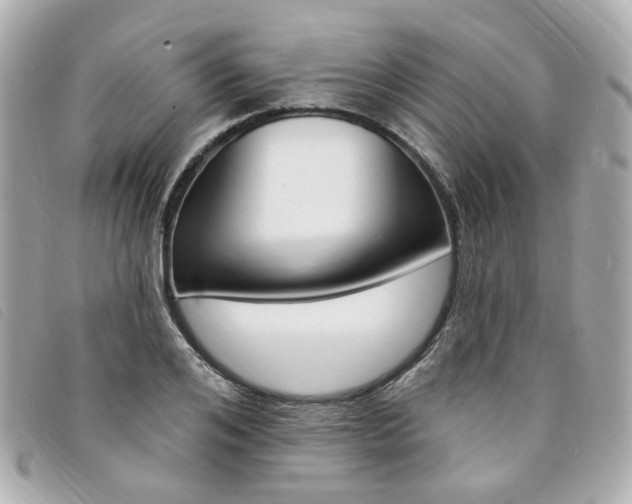 X0000094210984200710260929