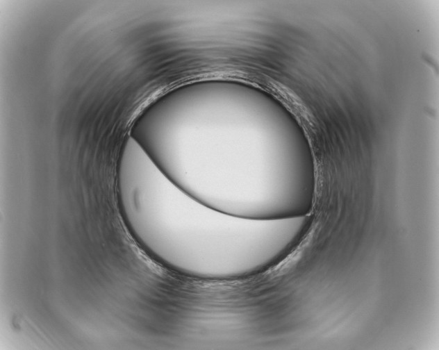 X0000094210985200710260929