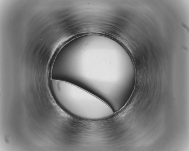 X0000094210987200710260929