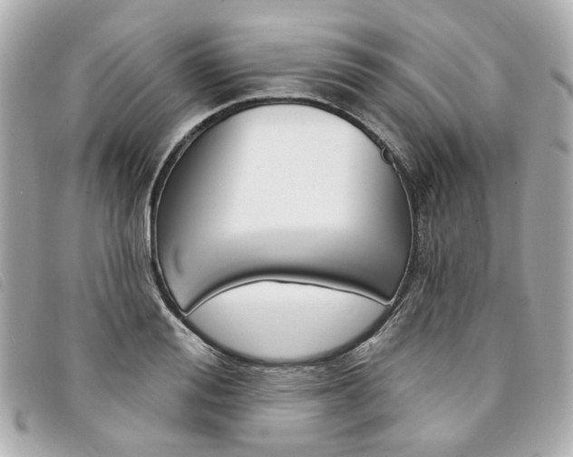 X0000094210988200710260929
