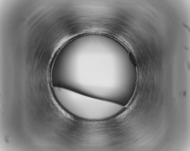 X0000094210989200710260929