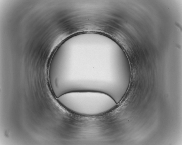 X0000094210990200710260929