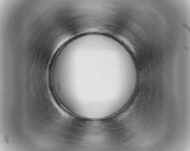 X0000094210991200710260929