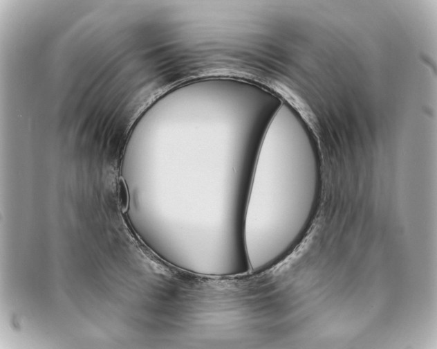 X0000094210993200710260929