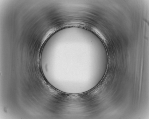 X0000094210994200710260929