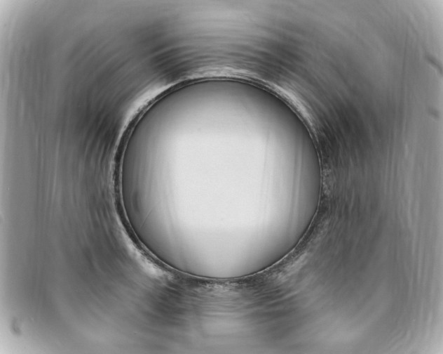 X0000094210995200710260929