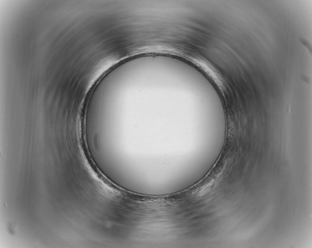 X0000094210999200710260929