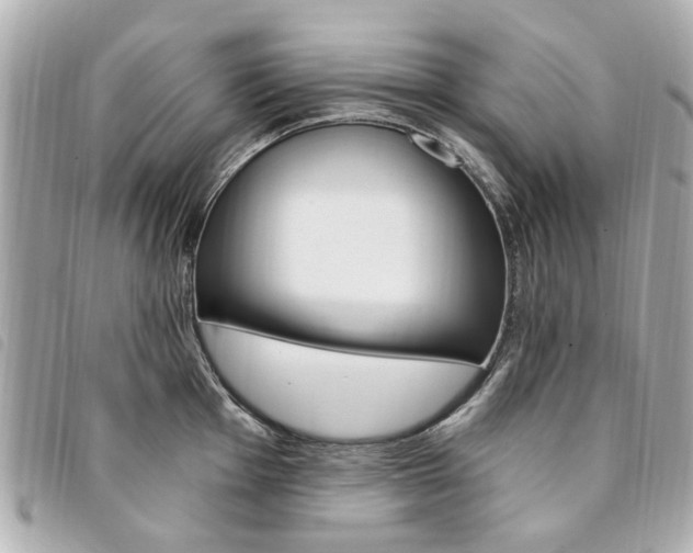 X0000094211001200710260929