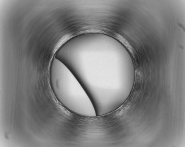 X0000094211002200710260929