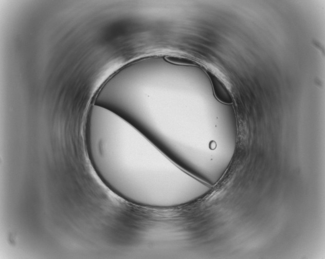 X0000094211007200710260929