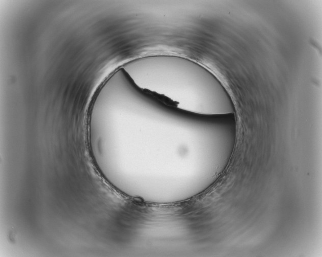 X0000094211008200710260929