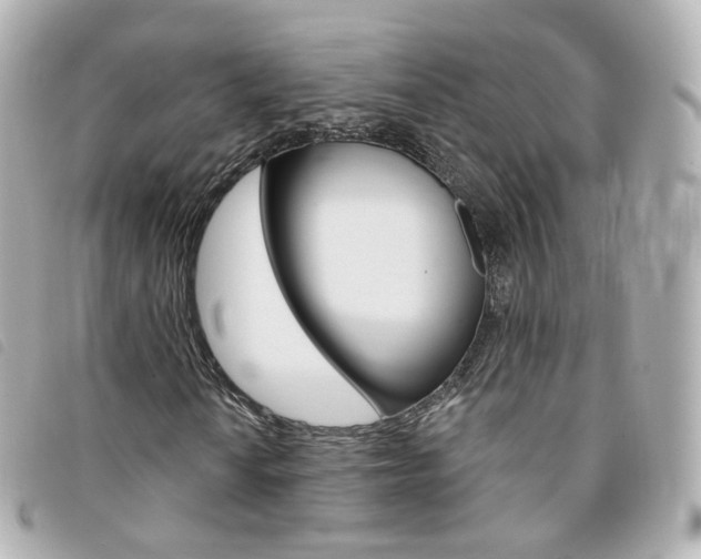 X0000094211010200710260929