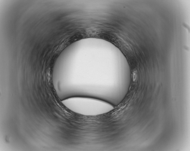 X0000094211011200710260929