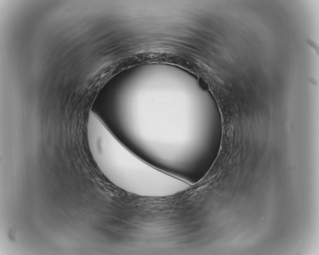 X0000094211014200710260929