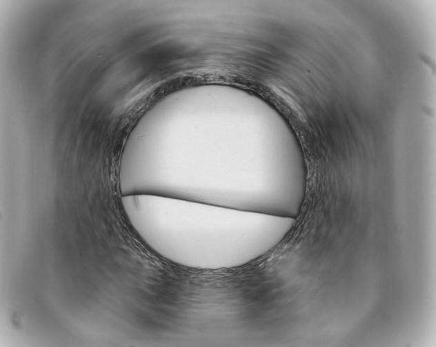 X0000094211015200710260929