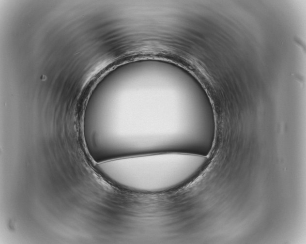 X0000094211018200710260929