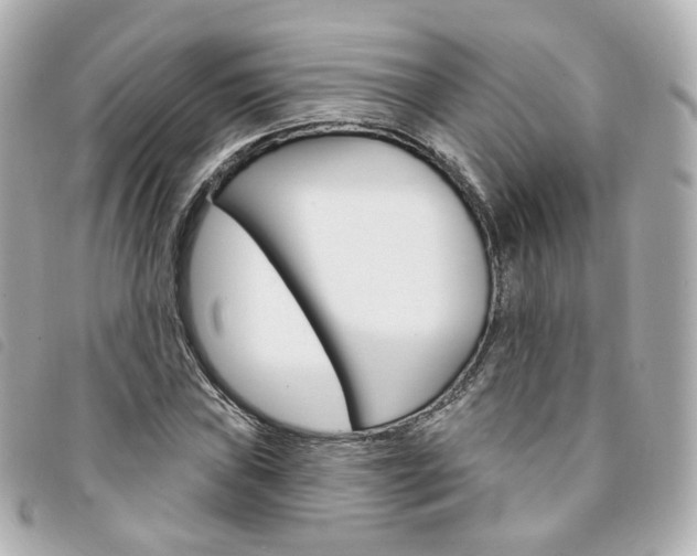 X0000094211019200710260929