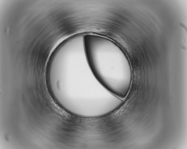 X0000094211020200710260929
