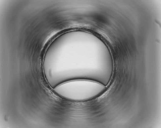 X0000094211021200710260929