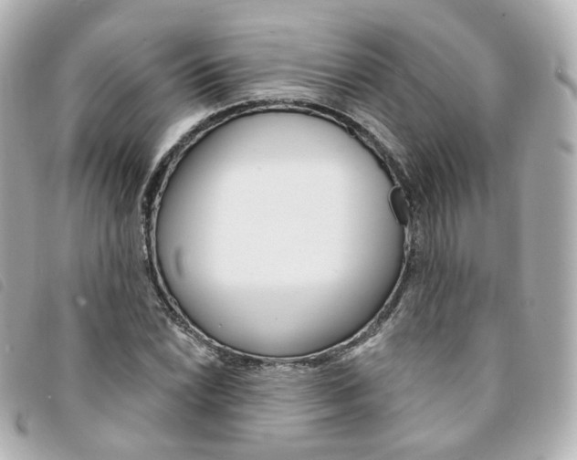 X0000094211022200710260929