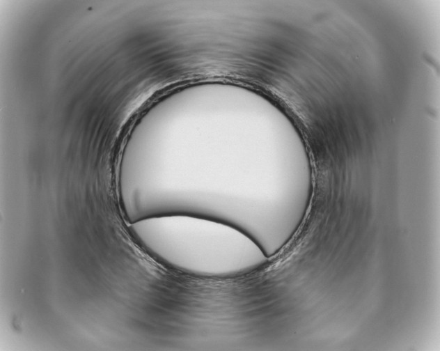 X0000094211023200710260929