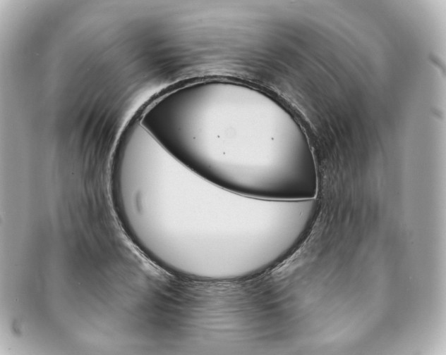 X0000094211024200710260929