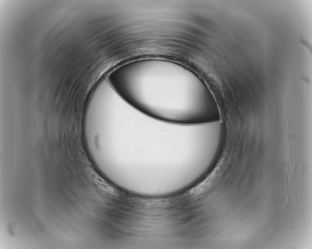X0000094211025200710260929
