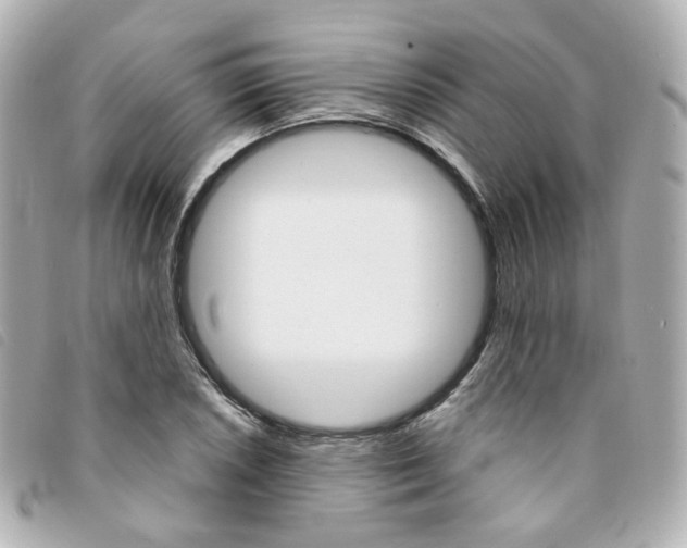 X0000094211026200710260929