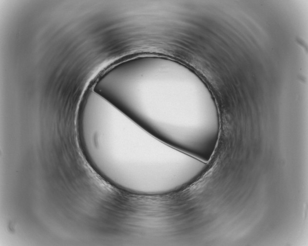 X0000094211028200710260929