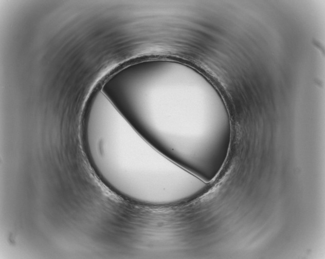 X0000094211029200710260929