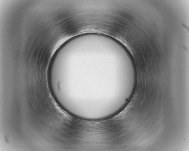 X0000094211030200710260929